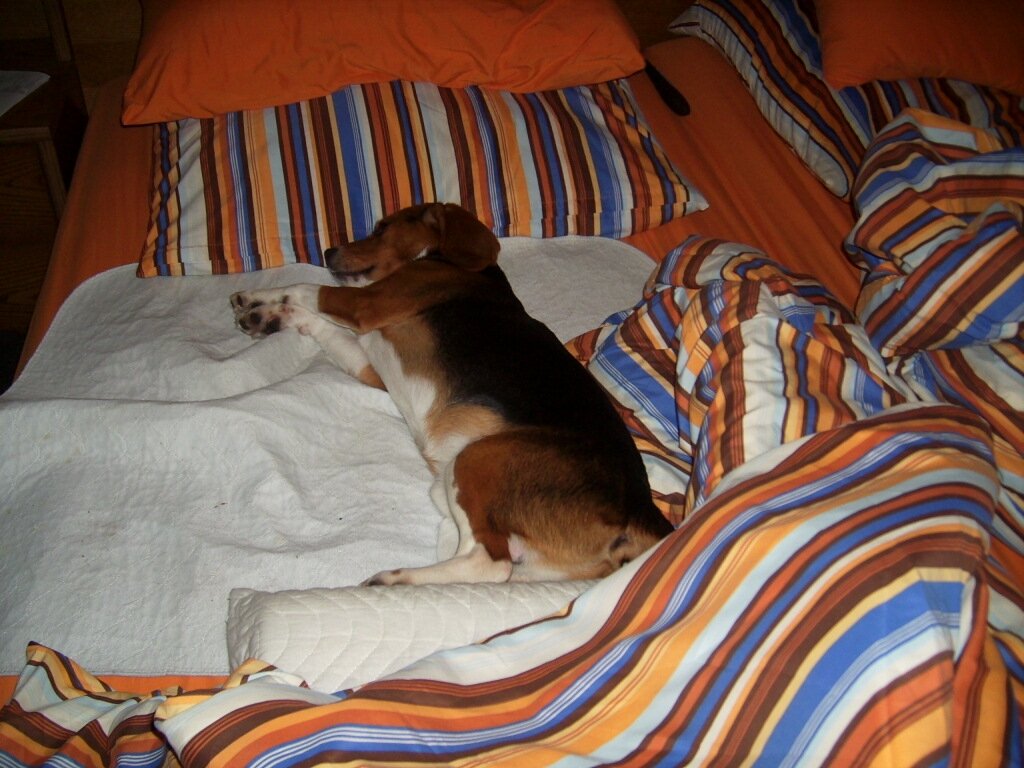 Murphy 001