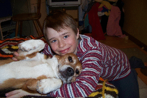 Beagle 079