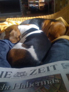Bruno7