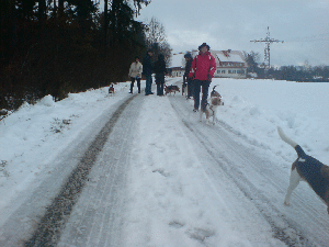 DSC01122