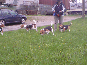 DSC01405