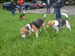 DSC01407
