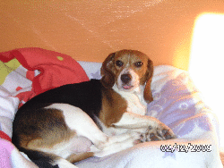 Lilli 004
